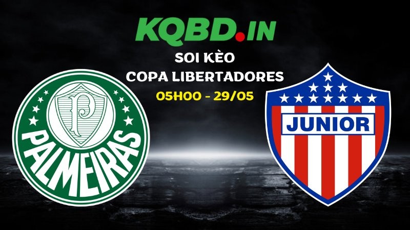 Nhận định Palmeiras vs Junior FC ngày 29/05/2026 | Copa Libertadores 8 Nhận định Palmeiras vs Junior FC ngày 29/05/2026 | Copa Libertadores